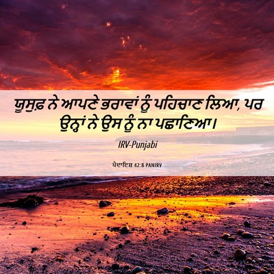 Picture 06 - ਪੈਦਾਇਸ਼ 42:8 PANIRV - ਯੂਸੁਫ਼ ਨੇ ਆਪਣੇ - Bible Verse Picture
