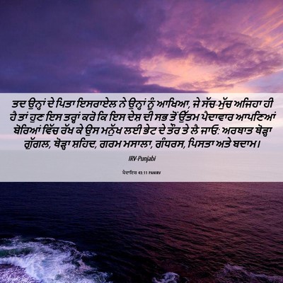 Picture 06 - ਪੈਦਾਇਸ਼ 43:11 PANIRV - ਤਦ ਉਨ੍ਹਾਂ ਦੇ ਪਿਤਾ - Bible Verse Picture