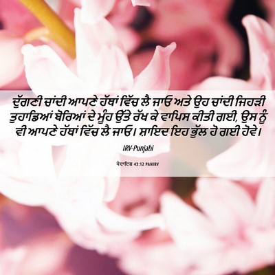 Picture 06 - ਪੈਦਾਇਸ਼ 43:12 PANIRV - ਦੁੱਗਣੀ ਚਾਂਦੀ ਆਪਣੇ - Bible Verse Picture