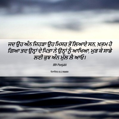 Picture 06 - ਪੈਦਾਇਸ਼ 43:2 PANIRV - ਜਦ ਉਹ ਅੰਨ ਜਿਹੜਾ ਉਹ - Bible Verse Picture