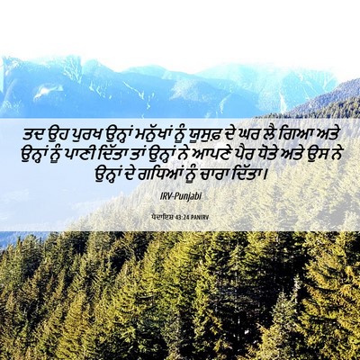 Picture 06 - ਪੈਦਾਇਸ਼ 43:24 PANIRV - ਤਦ ਉਹ ਪੁਰਖ ਉਨ੍ਹਾਂ - Bible Verse Picture