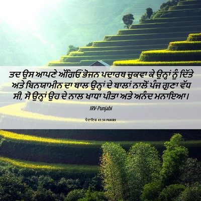 Picture 06 - ਪੈਦਾਇਸ਼ 43:34 PANIRV - ਤਦ ਉਸ ਆਪਣੇ ਅੱਗਿਓਂ - Bible Verse Picture