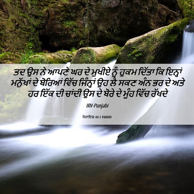 Picture 06 - ਪੈਦਾਇਸ਼ 44:1 PANIRV - ਤਦ ਉਸ ਨੇ ਆਪਣੇ ਘਰ ਦੇ - Bible Verse Picture