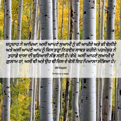 Picture 06 - ਪੈਦਾਇਸ਼ 44:16 PANIRV - ਯਹੂਦਾਹ ਨੇ ਆਖਿਆ, - Bible Verse Picture