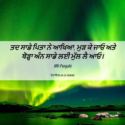 Picture 06 - ਪੈਦਾਇਸ਼ 44:25 PANIRV - ਤਦ ਸਾਡੇ ਪਿਤਾ ਨੇ - Bible Verse Picture
