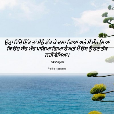 Picture 06 - ਪੈਦਾਇਸ਼ 44:28 PANIRV - ਉਨ੍ਹਾਂ ਵਿੱਚੋਂ ਇੱਕ - Bible Verse Picture