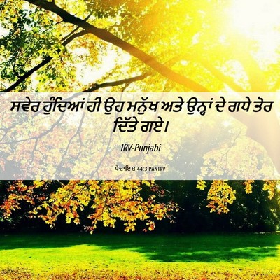 Picture 06 - ਪੈਦਾਇਸ਼ 44:3 PANIRV - ਸਵੇਰ ਹੁੰਦਿਆਂ ਹੀ ਉਹ - Bible Verse Picture