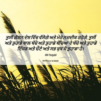 Picture 06 - ਪੈਦਾਇਸ਼ 45:10 PANIRV - ਤੁਸੀਂ ਗੋਸ਼ਨ ਦੇਸ਼ - Bible Verse Picture