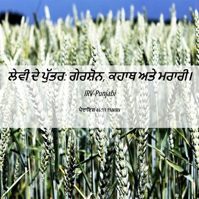 Picture 06 - ਪੈਦਾਇਸ਼ 46:11 PANIRV - ਲੇਵੀ ਦੇ ਪੁੱਤਰ: - Bible Verse Picture