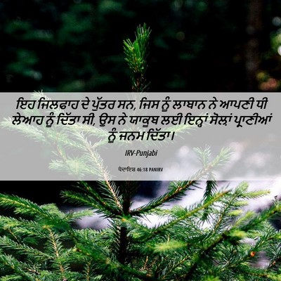 Picture 06 - ਪੈਦਾਇਸ਼ 46:18 PANIRV - ਇਹ ਜਿਲਫਾਹ ਦੇ ਪੁੱਤਰ - Bible Verse Picture
