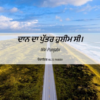 Picture 06 - ਪੈਦਾਇਸ਼ 46:23 PANIRV - ਦਾਨ ਦਾ ਪੁੱਤਰ - Bible Verse Picture