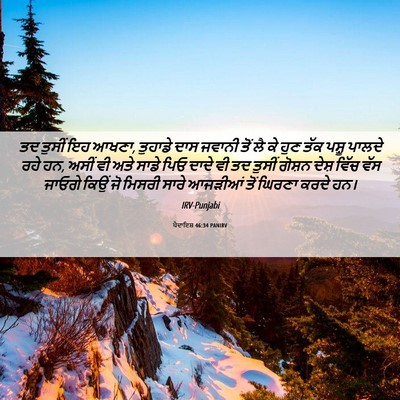 Picture 06 - ਪੈਦਾਇਸ਼ 46:34 PANIRV - ਤਦ ਤੁਸੀਂ ਇਹ ਆਖਣਾ, - Bible Verse Picture