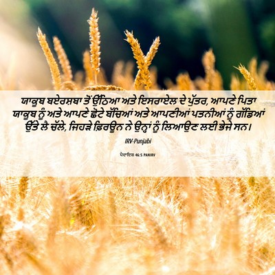 Picture 06 - ਪੈਦਾਇਸ਼ 46:5 PANIRV - ਯਾਕੂਬ ਬਏਰਸ਼ਬਾ ਤੋਂ - Bible Verse Picture