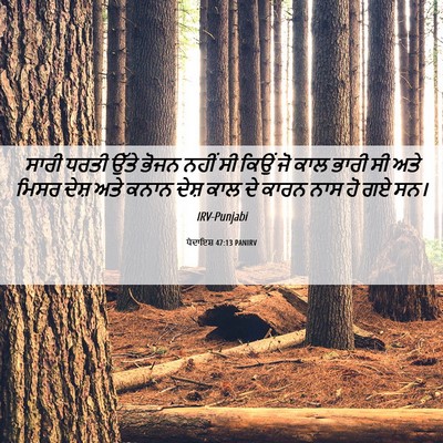 Picture 06 - ਪੈਦਾਇਸ਼ 47:13 PANIRV - ਸਾਰੀ ਧਰਤੀ ਉੱਤੇ - Bible Verse Picture