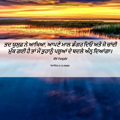 Picture 06 - ਪੈਦਾਇਸ਼ 47:16 PANIRV - ਤਦ ਯੂਸੁਫ਼ ਨੇ ਆਖਿਆ, - Bible Verse Picture