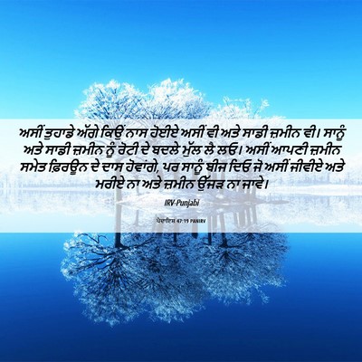 Picture 06 - ਪੈਦਾਇਸ਼ 47:19 PANIRV - ਅਸੀਂ ਤੁਹਾਡੇ ਅੱਗੇ - Bible Verse Picture