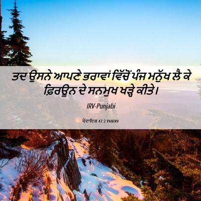 Picture 06 - ਪੈਦਾਇਸ਼ 47:2 PANIRV - ਤਦ ਉਸਨੇ ਆਪਣੇ - Bible Verse Picture