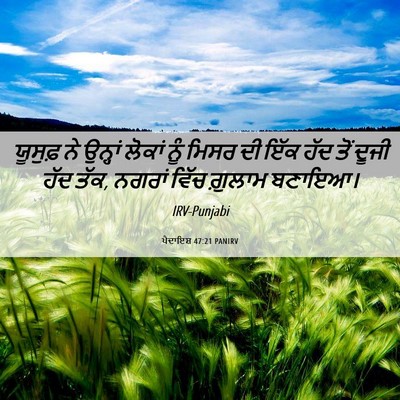 Picture 06 - ਪੈਦਾਇਸ਼ 47:21 PANIRV - ਯੂਸੁਫ਼ ਨੇ ਉਨ੍ਹਾਂ - Bible Verse Picture