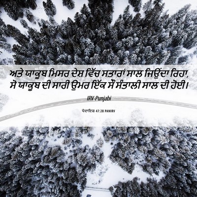 Picture 06 - ਪੈਦਾਇਸ਼ 47:28 PANIRV - ਅਤੇ ਯਾਕੂਬ ਮਿਸਰ - Bible Verse Picture