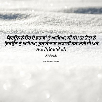 Picture 06 - ਪੈਦਾਇਸ਼ 47:3 PANIRV - ਫ਼ਿਰਊਨ ਨੇ ਉਹ ਦੇ - Bible Verse Picture