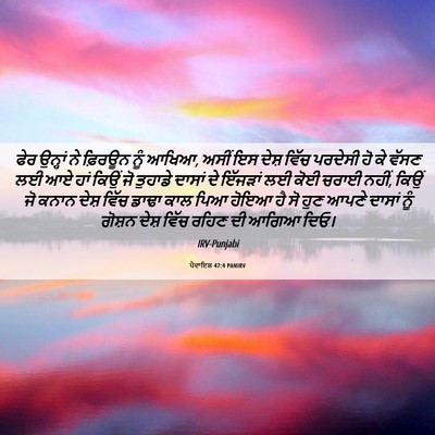 Picture 06 - ਪੈਦਾਇਸ਼ 47:4 PANIRV - ਫੇਰ ਉਨ੍ਹਾਂ ਨੇ - Bible Verse Picture
