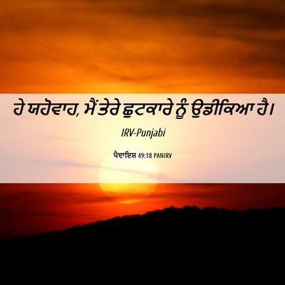 Picture 06 - ਪੈਦਾਇਸ਼ 49:18 PANIRV - ਹੇ ਯਹੋਵਾਹ, ਮੈਂ ਤੇਰੇ - Bible Verse Picture
