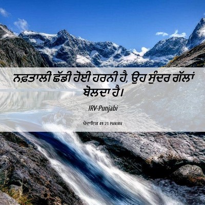 Picture 06 - ਪੈਦਾਇਸ਼ 49:21 PANIRV - ਨਫ਼ਤਾਲੀ ਛੱਡੀ ਹੋਈ - Bible Verse Picture
