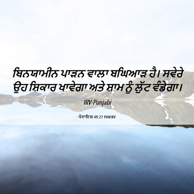 Picture 06 - ਪੈਦਾਇਸ਼ 49:27 PANIRV - ਬਿਨਯਾਮੀਨ ਪਾੜਨ - Bible Verse Picture
