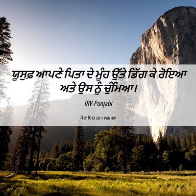 Picture 06 - ਪੈਦਾਇਸ਼ 50:1 PANIRV - ਯੂਸੁਫ਼ ਆਪਣੇ ਪਿਤਾ - Bible Verse Picture