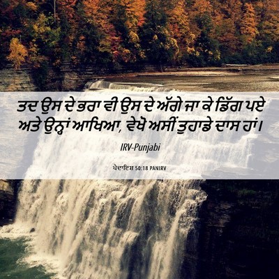 Picture 06 - ਪੈਦਾਇਸ਼ 50:18 PANIRV - ਤਦ ਉਸ ਦੇ ਭਰਾ ਵੀ ਉਸ - Bible Verse Picture