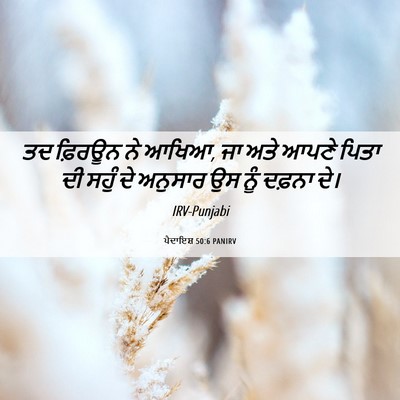 Picture 06 - ਪੈਦਾਇਸ਼ 50:6 PANIRV - ਤਦ ਫ਼ਿਰਊਨ ਨੇ ਆਖਿਆ, - Bible Verse Picture