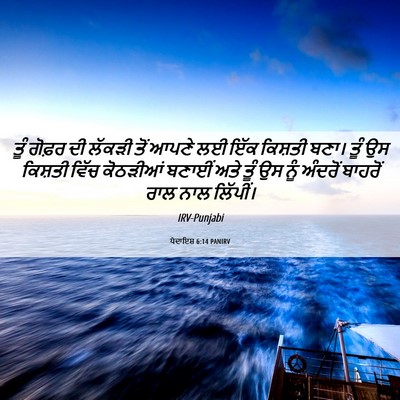 Picture 06 - ਪੈਦਾਇਸ਼ 6:14 PANIRV - ਤੂੰ ਗੋਫ਼ਰ ਦੀ ਲੱਕੜੀ - Bible Verse Picture