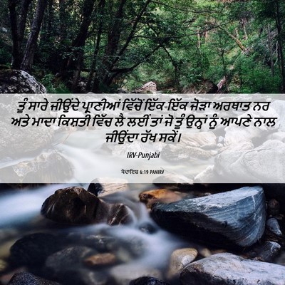 Picture 06 - ਪੈਦਾਇਸ਼ 6:19 PANIRV - ਤੂੰ ਸਾਰੇ ਜੀਉਂਦੇ - Bible Verse Picture