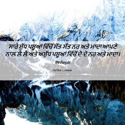 Picture 06 - ਪੈਦਾਇਸ਼ 7:2 PANIRV - ਸਾਰੇ ਸ਼ੁੱਧ ਪਸ਼ੂਆਂ - Bible Verse Picture