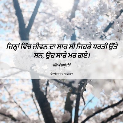 Picture 06 - ਪੈਦਾਇਸ਼ 7:22 PANIRV - ਜਿਨ੍ਹਾਂ ਵਿੱਚ ਜੀਵਨ - Bible Verse Picture