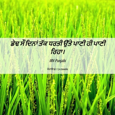 Picture 06 - ਪੈਦਾਇਸ਼ 7:24 PANIRV - ਡੇਢ ਸੌ ਦਿਨਾਂ ਤੱਕ - Bible Verse Picture