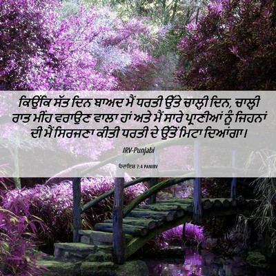 Picture 06 - ਪੈਦਾਇਸ਼ 7:4 PANIRV - ਕਿਉਂਕਿ ਸੱਤ ਦਿਨ - Bible Verse Picture