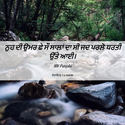 Picture 06 - ਪੈਦਾਇਸ਼ 7:6 PANIRV - ਨੂਹ ਦੀ ਉਮਰ ਛੇ ਸੌ - Bible Verse Picture
