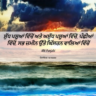 Picture 06 - ਪੈਦਾਇਸ਼ 7:8 PANIRV - ਸ਼ੁੱਧ ਪਸ਼ੂਆਂ - Bible Verse Picture