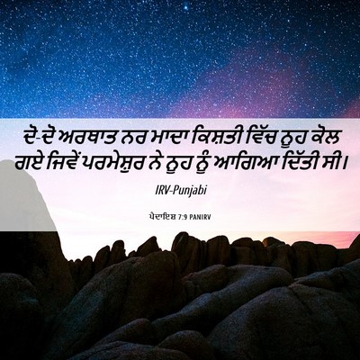 Picture 06 - ਪੈਦਾਇਸ਼ 7:9 PANIRV - ਦੋ-ਦੋ ਅਰਥਾਤ ਨਰ ਮਾਦਾ - Bible Verse Picture
