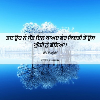 Picture 06 - ਪੈਦਾਇਸ਼ 8:10 PANIRV - ਤਦ ਉਹ ਨੇ ਸੱਤ ਦਿਨ - Bible Verse Picture