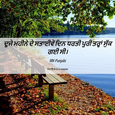 Picture 06 - ਪੈਦਾਇਸ਼ 8:14 PANIRV - ਦੂਜੇ ਮਹੀਨੇ ਦੇ - Bible Verse Picture