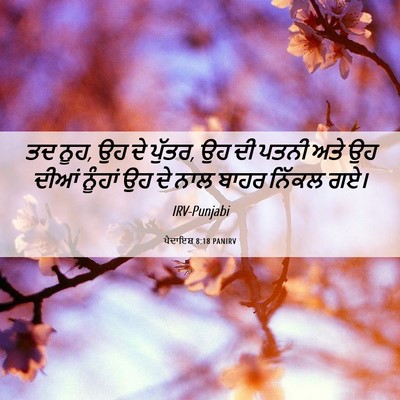 Picture 06 - ਪੈਦਾਇਸ਼ 8:18 PANIRV - ਤਦ ਨੂਹ, ਉਹ ਦੇ ਪੁੱਤਰ, - Bible Verse Picture