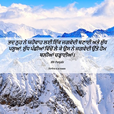 Picture 06 - ਪੈਦਾਇਸ਼ 8:20 PANIRV - ਤਦ ਨੂਹ ਨੇ ਯਹੋਵਾਹ ਲਈ - Bible Verse Picture