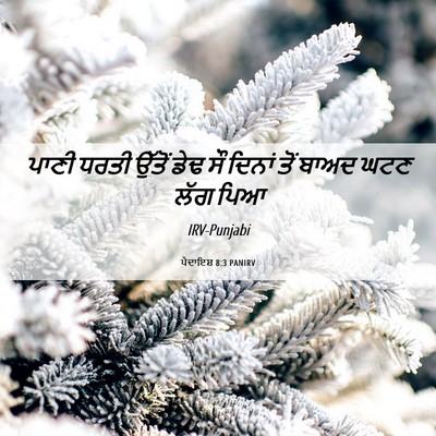 Picture 06 - ਪੈਦਾਇਸ਼ 8:3 PANIRV - ਪਾਣੀ ਧਰਤੀ ਉੱਤੋਂ - Bible Verse Picture