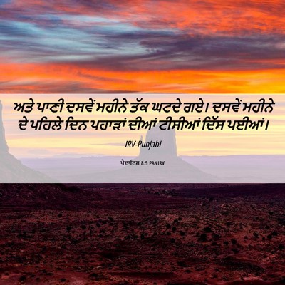 Picture 06 - ਪੈਦਾਇਸ਼ 8:5 PANIRV - ਅਤੇ ਪਾਣੀ ਦਸਵੇਂ - Bible Verse Picture