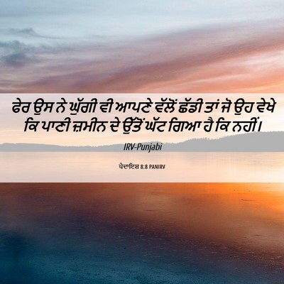 Picture 06 - ਪੈਦਾਇਸ਼ 8:8 PANIRV - ਫੇਰ ਉਸ ਨੇ ਘੁੱਗੀ ਵੀ - Bible Verse Picture
