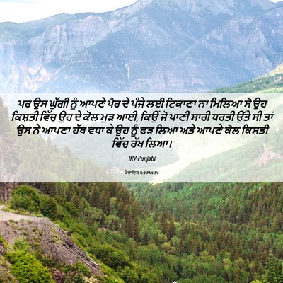 Picture 06 - ਪੈਦਾਇਸ਼ 8:9 PANIRV - ਪਰ ਉਸ ਘੁੱਗੀ ਨੂੰ - Bible Verse Picture