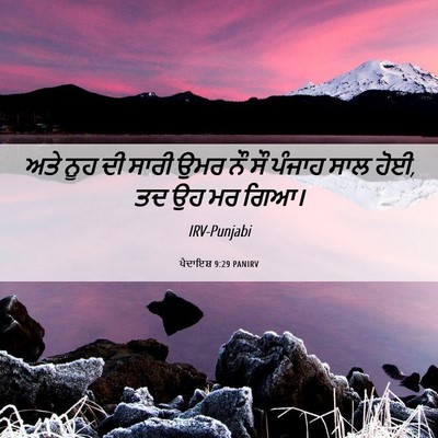 Picture 06 - ਪੈਦਾਇਸ਼ 9:29 PANIRV - ਅਤੇ ਨੂਹ ਦੀ ਸਾਰੀ ਉਮਰ - Bible Verse Picture