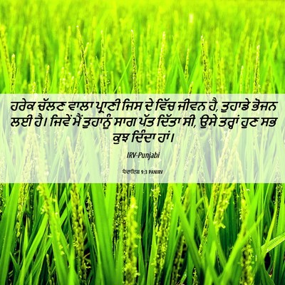 Picture 06 - ਪੈਦਾਇਸ਼ 9:3 PANIRV - ਹਰੇਕ ਚੱਲਣ ਵਾਲਾ - Bible Verse Picture
